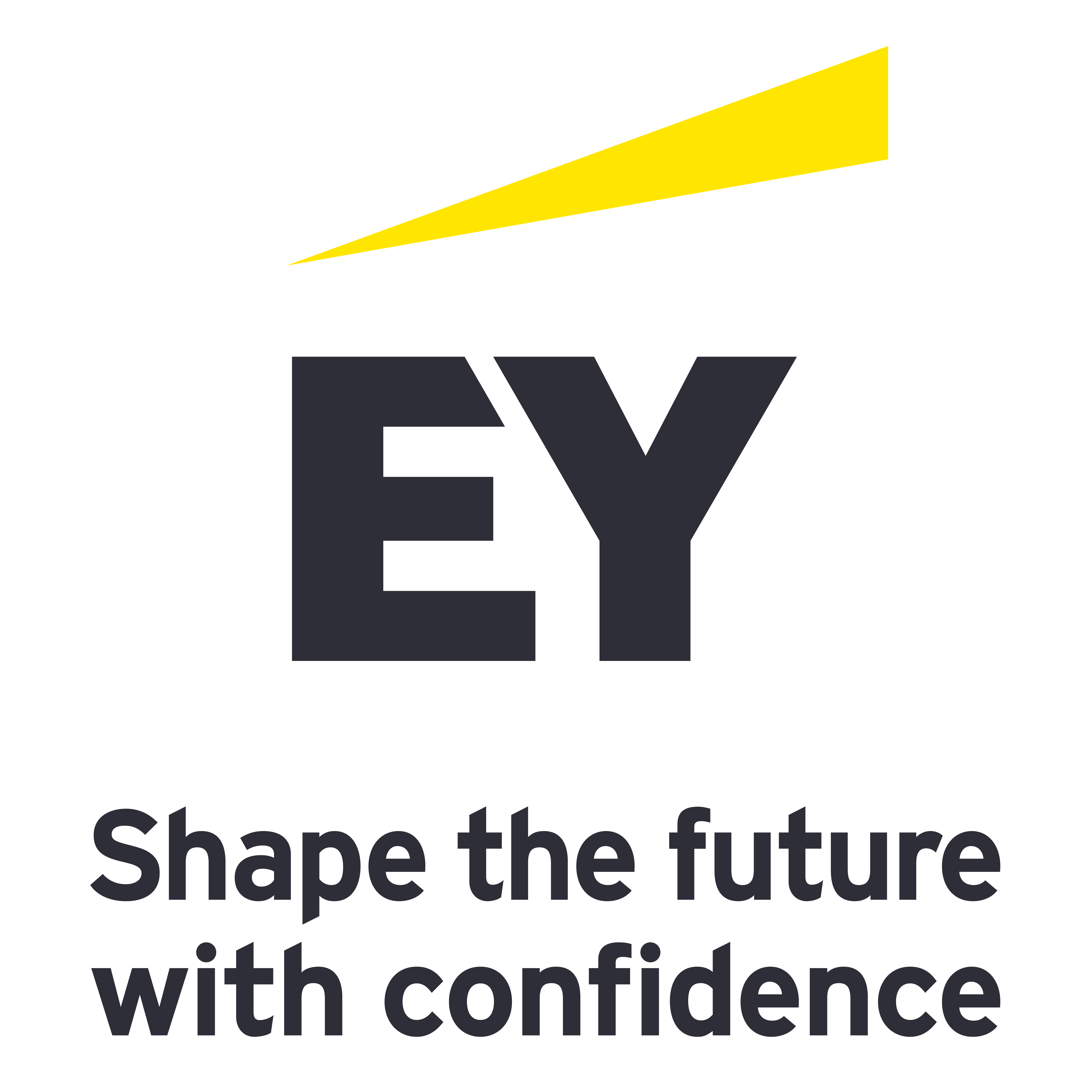 ERNST & YOUNG